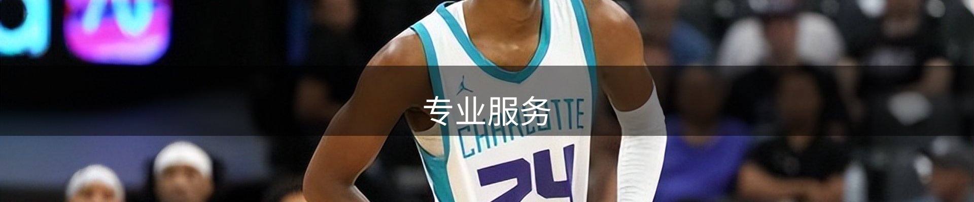 专业服务